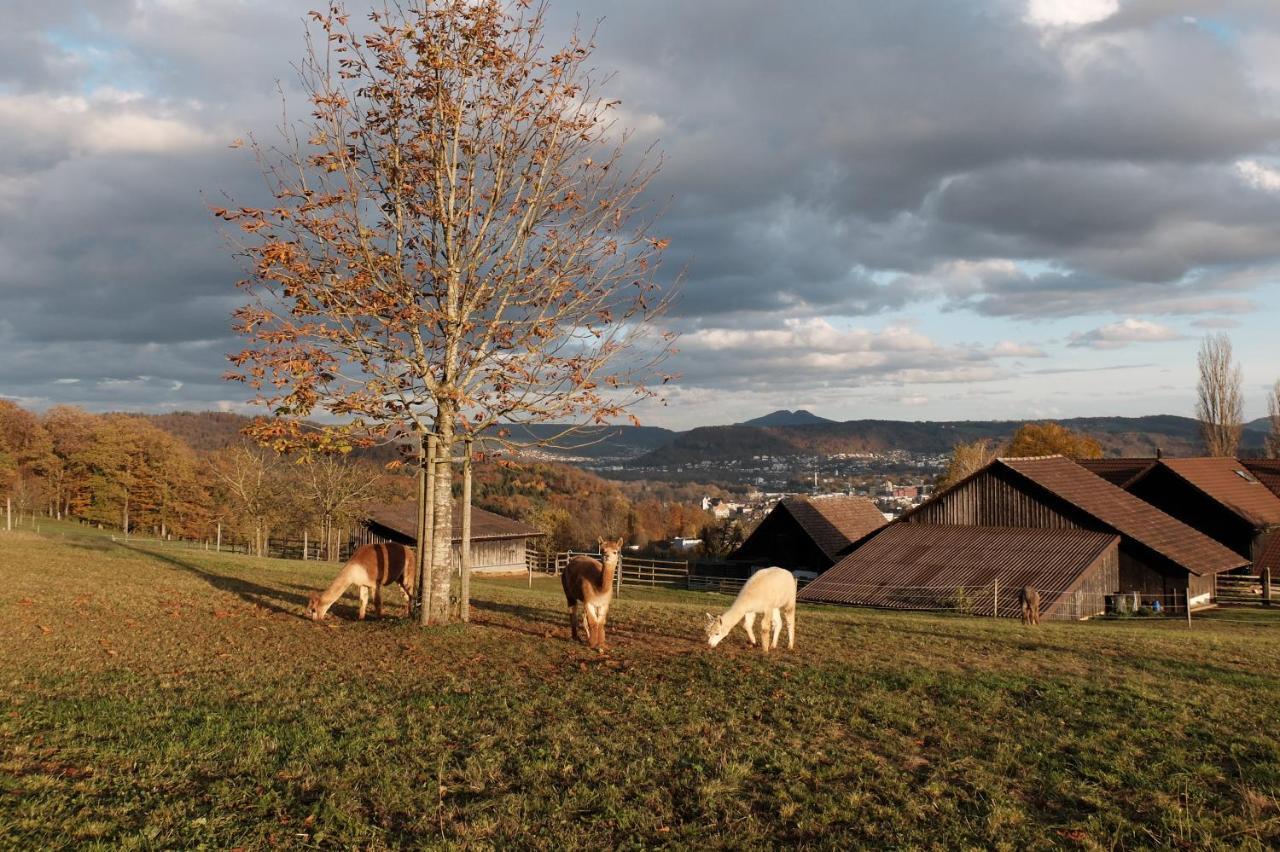 Prophetengut - Die Perle Im Jurapark Habsburg Dış mekan fotoğraf